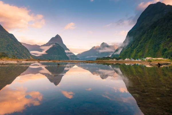 New Zealand Road Trip Guide