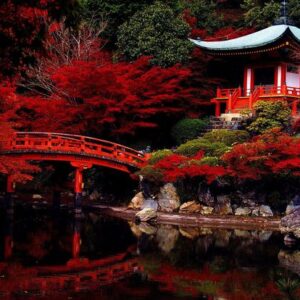 Japan Urban Explorer Pass