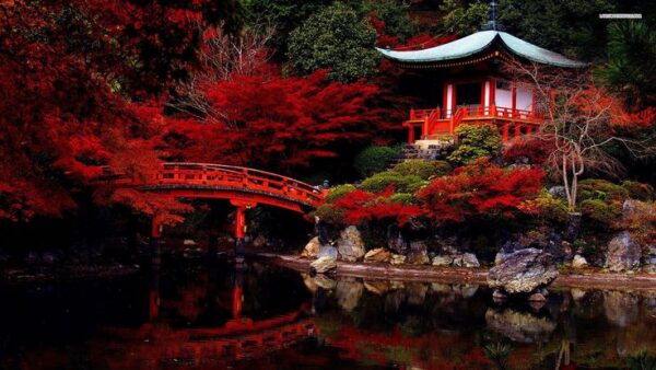 Japan Urban Explorer Pass