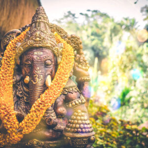 India Cultural Journey