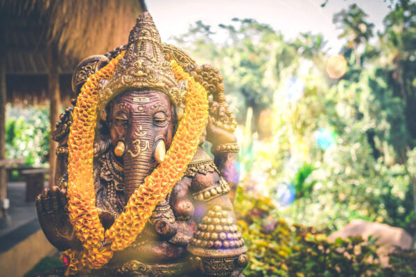 India Cultural Journey